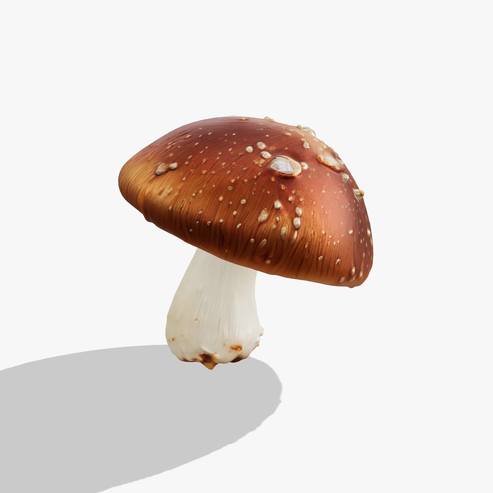 Dewy Boletus Mushroom Realistic model pack